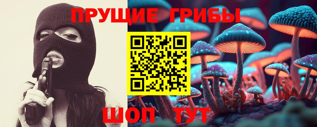 Псилоцибиновые грибы Psilocybine cubensis  Вход с VPN  Кумертау 